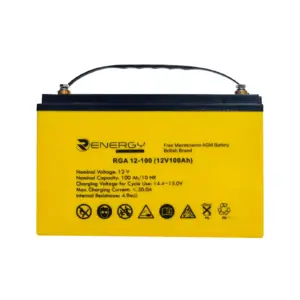 100ah 12v Battery Renergy Deep Cycle Maintenance Free